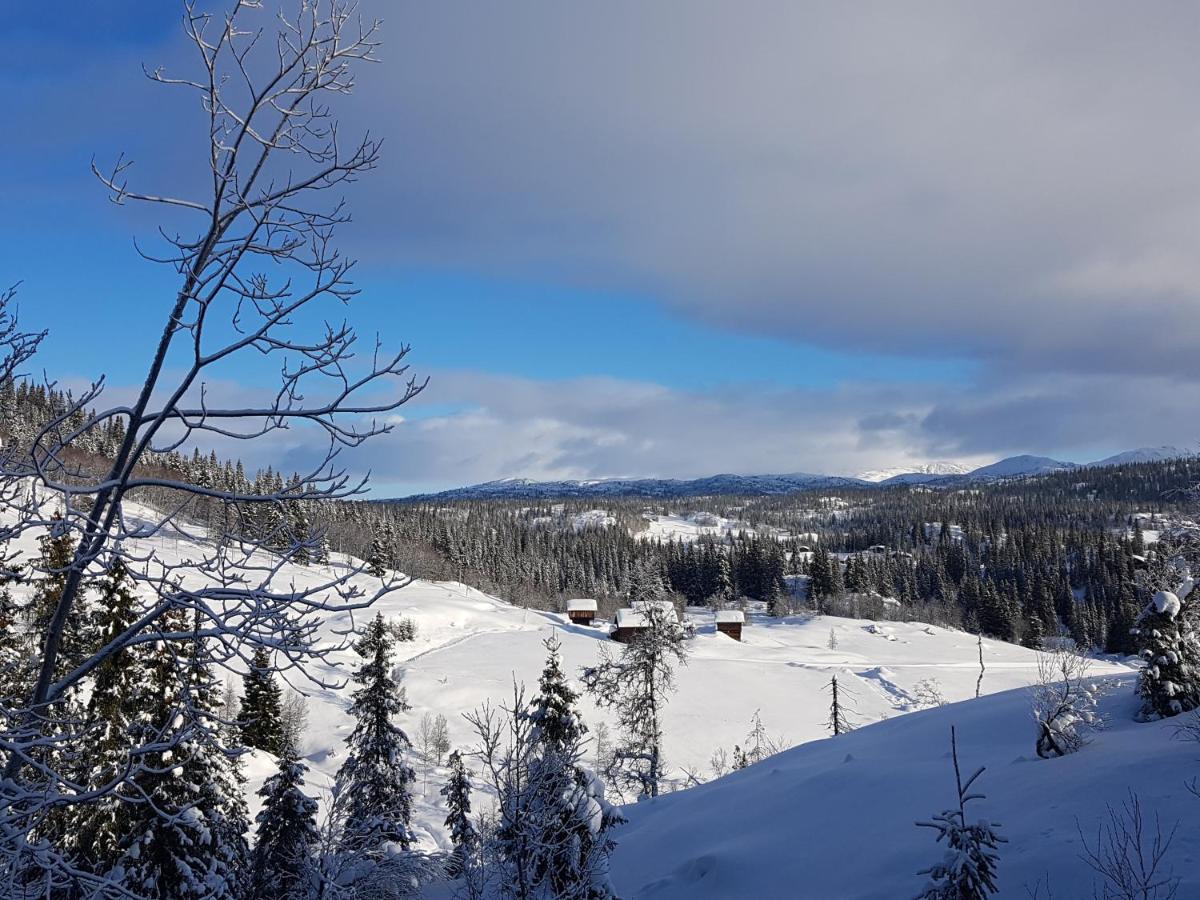 Kvambekk Gard I Amotsdal Villa Esterno foto