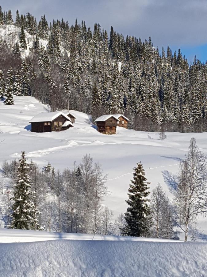 Kvambekk Gard I Amotsdal Villa Esterno foto