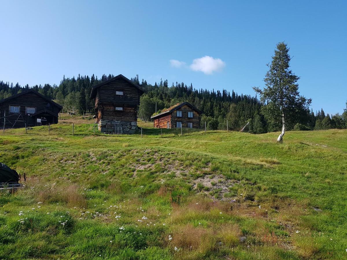 Kvambekk Gard I Amotsdal Villa Esterno foto